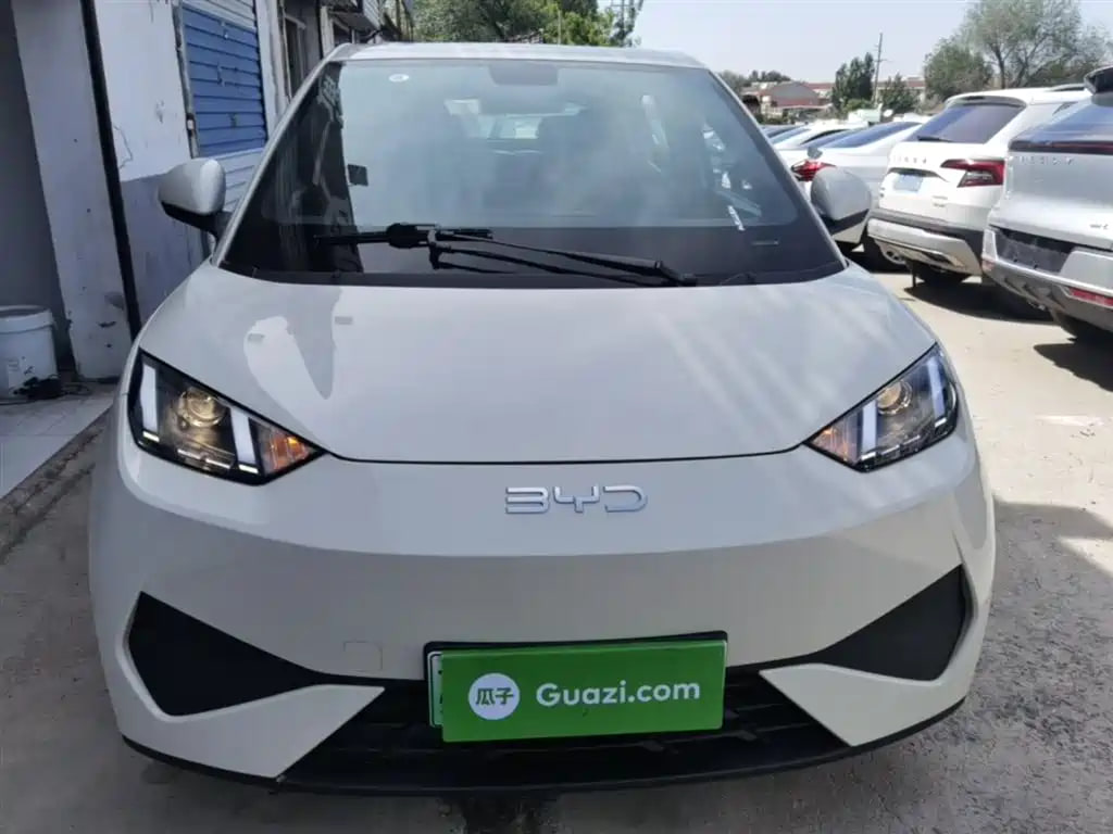 BYD Seagull
