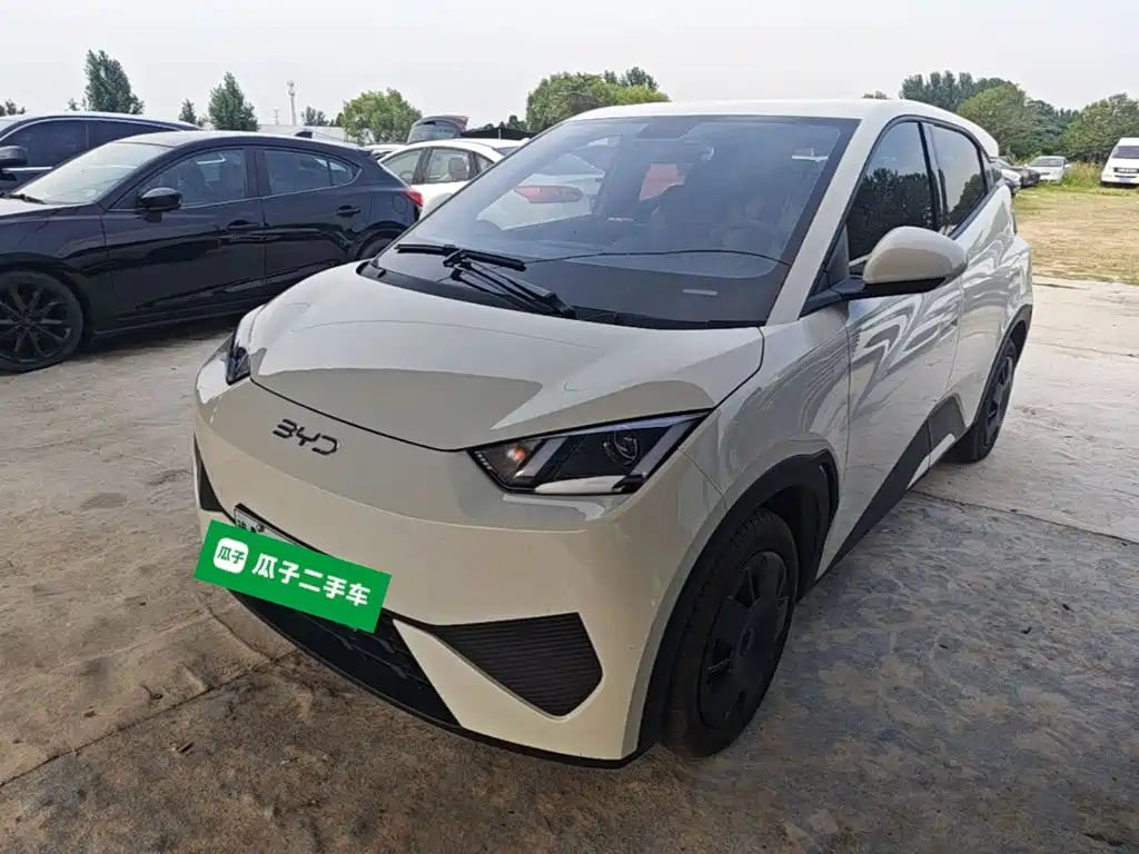 BYD Seagull