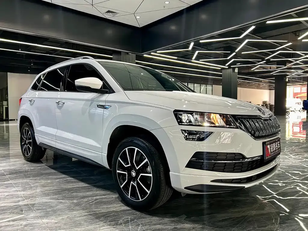 Skoda Karoq — фото 6