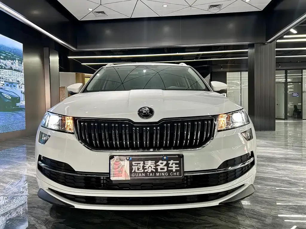 Skoda Karoq — фото 7