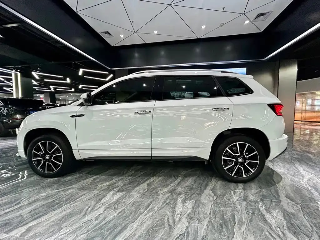 Skoda Karoq — фото 15