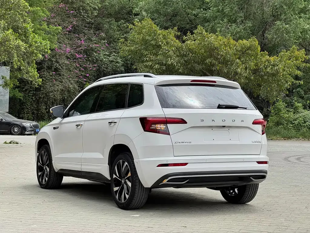 Skoda Karoq — фото 5