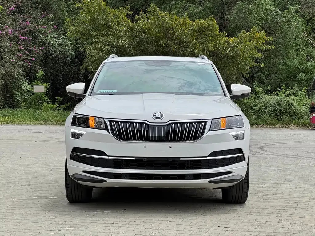 Skoda Karoq — фото 6