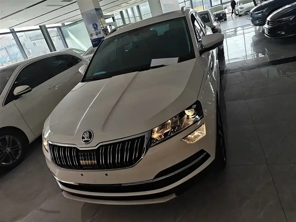 Skoda Karoq — фото 4