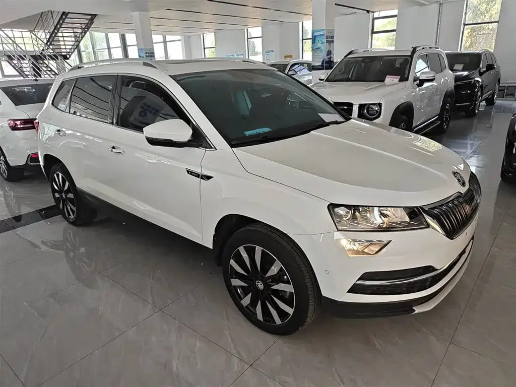 Skoda Karoq — фото 5