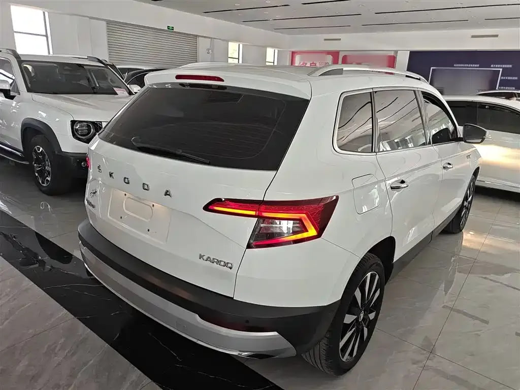 Skoda Karoq — фото 6