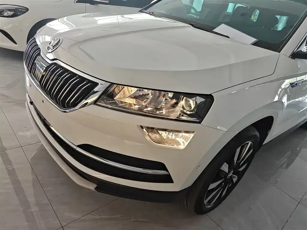 Skoda Karoq — фото 8