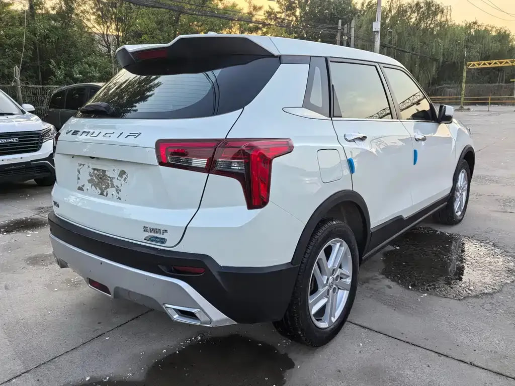 Dongfeng Ruiqi T60 — фото 15