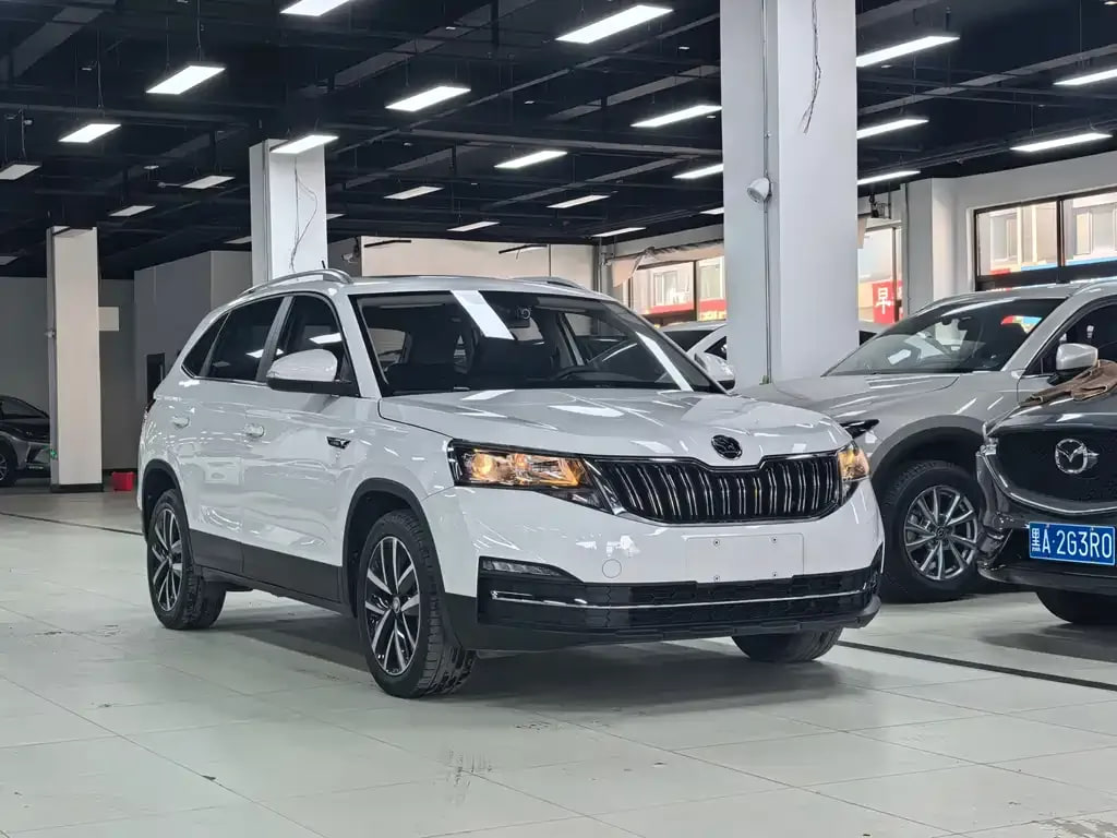 Skoda Kamiq — фото 7