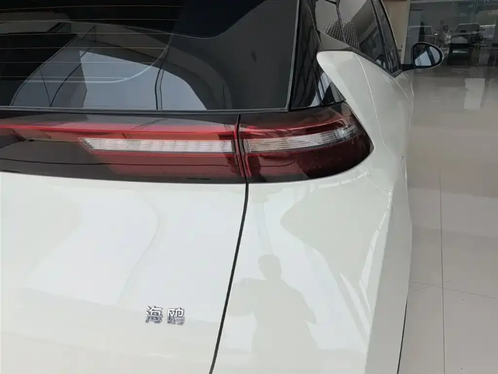 BYD Seagull — фото 14