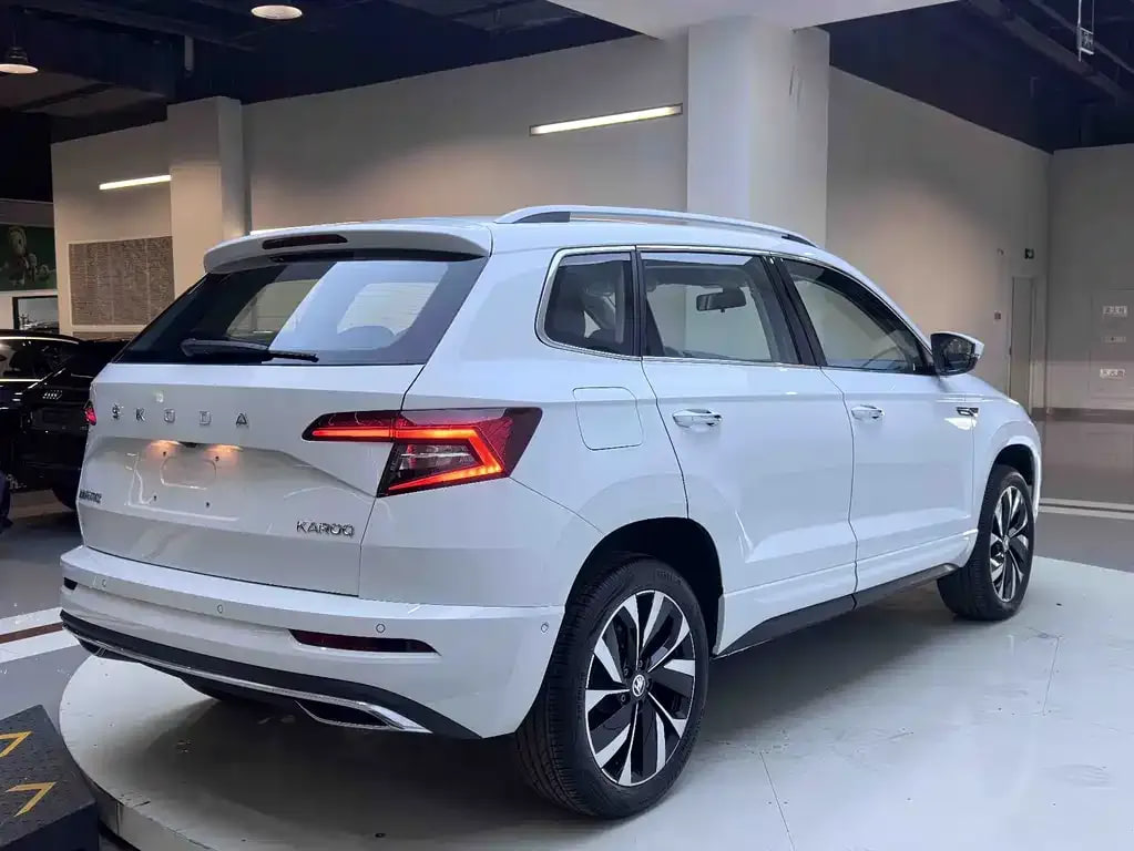 Skoda Karoq — фото 6