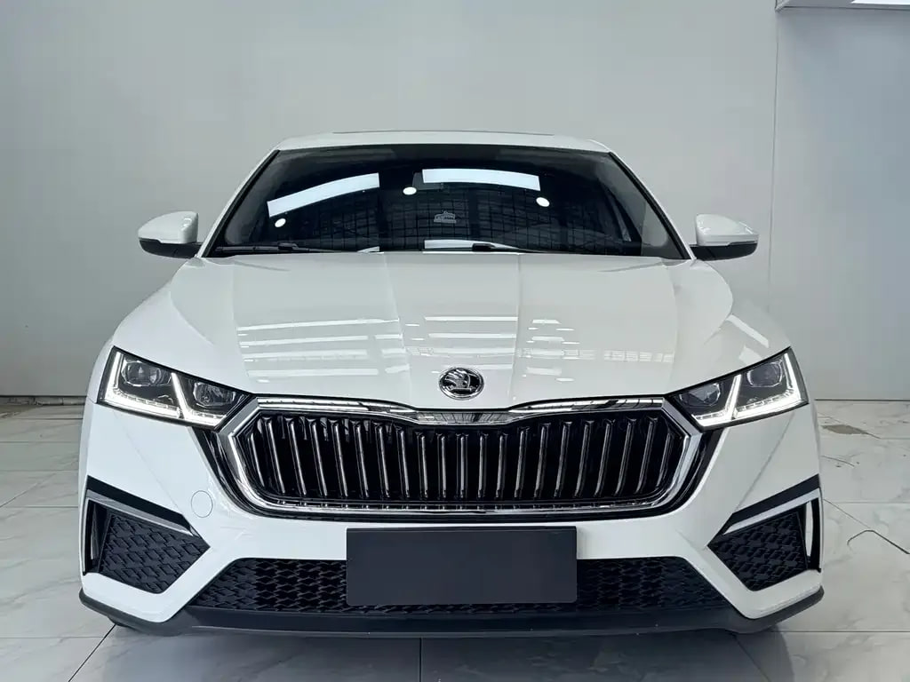 Skoda Rui