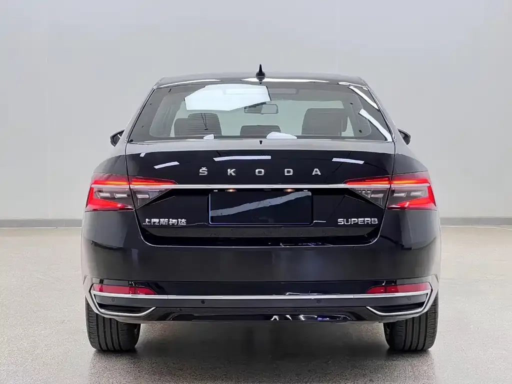 Skoda Pai — фото 2