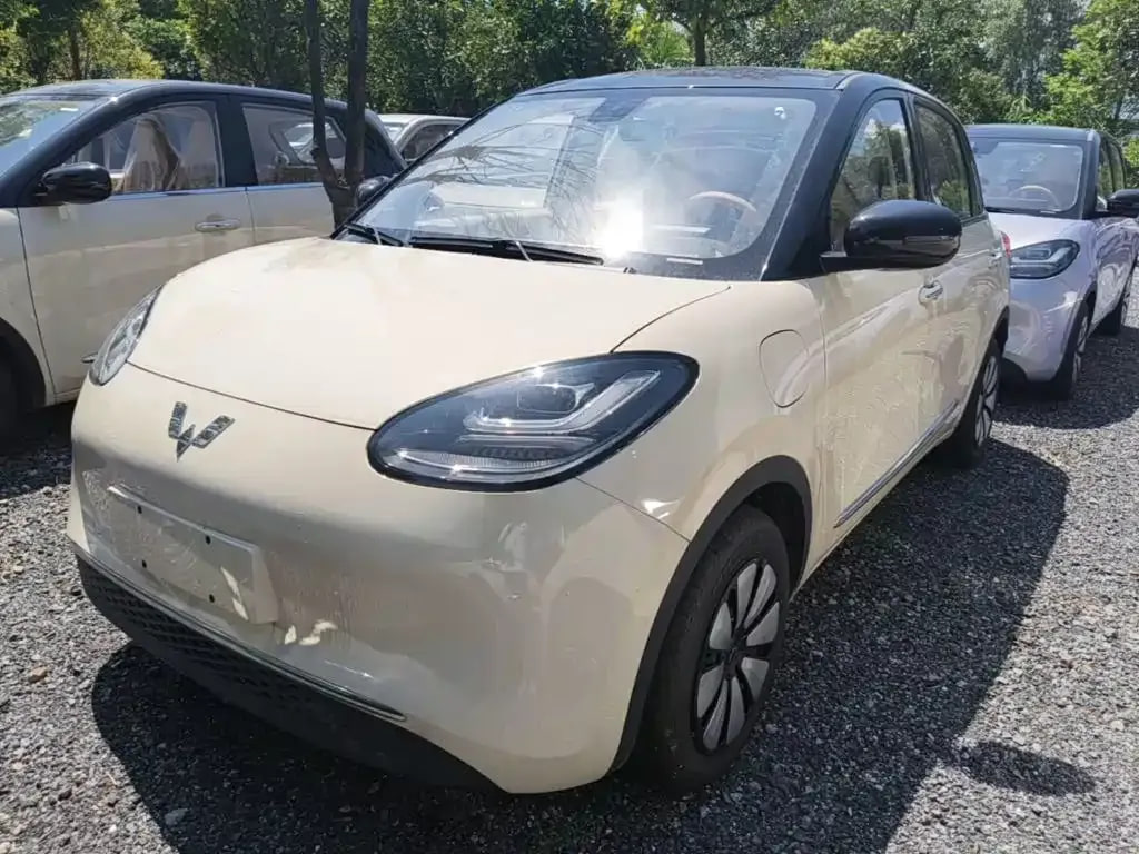 Wuling Bingo