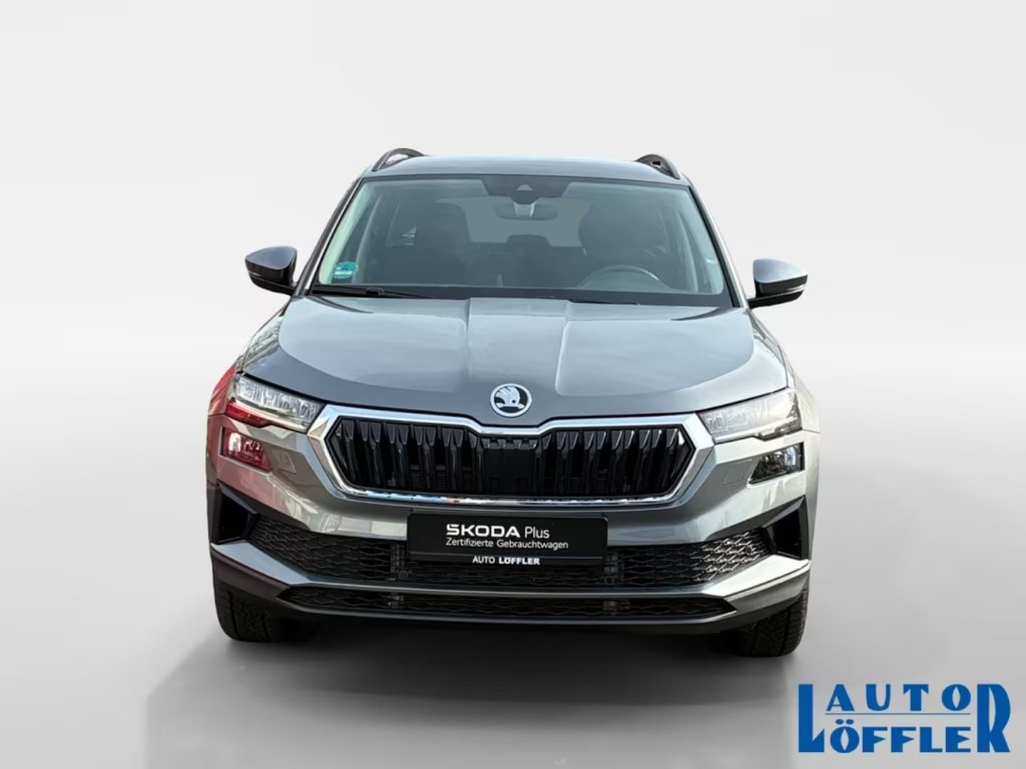 Skoda Karoq — фото 15