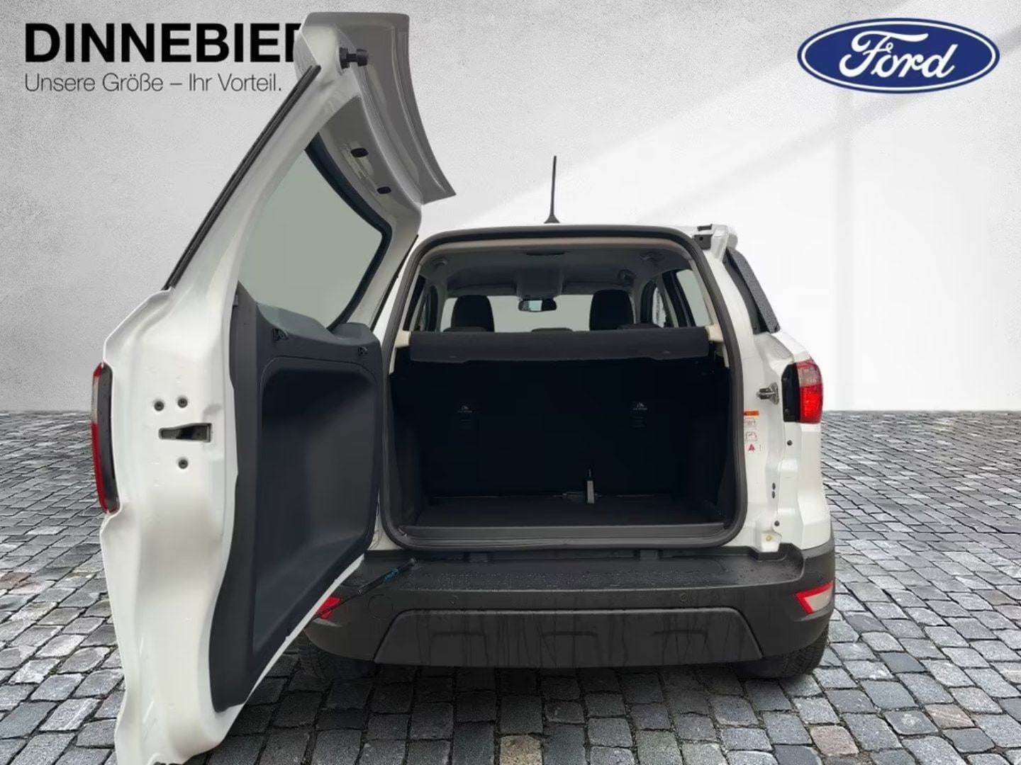 Ford EcoSport — фото 15