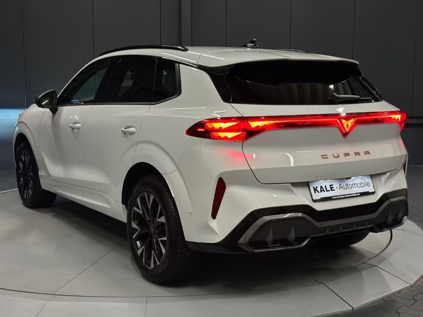 Cupra Terramar — фото 7