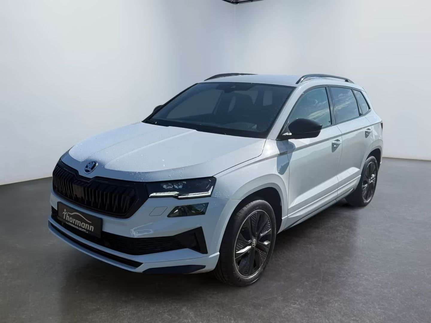 Skoda Karoq — фото 6