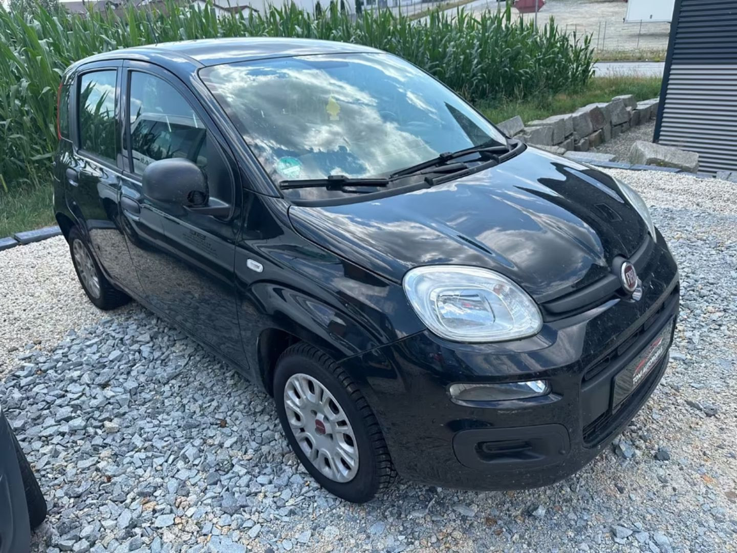 Fiat Panda — фото 6