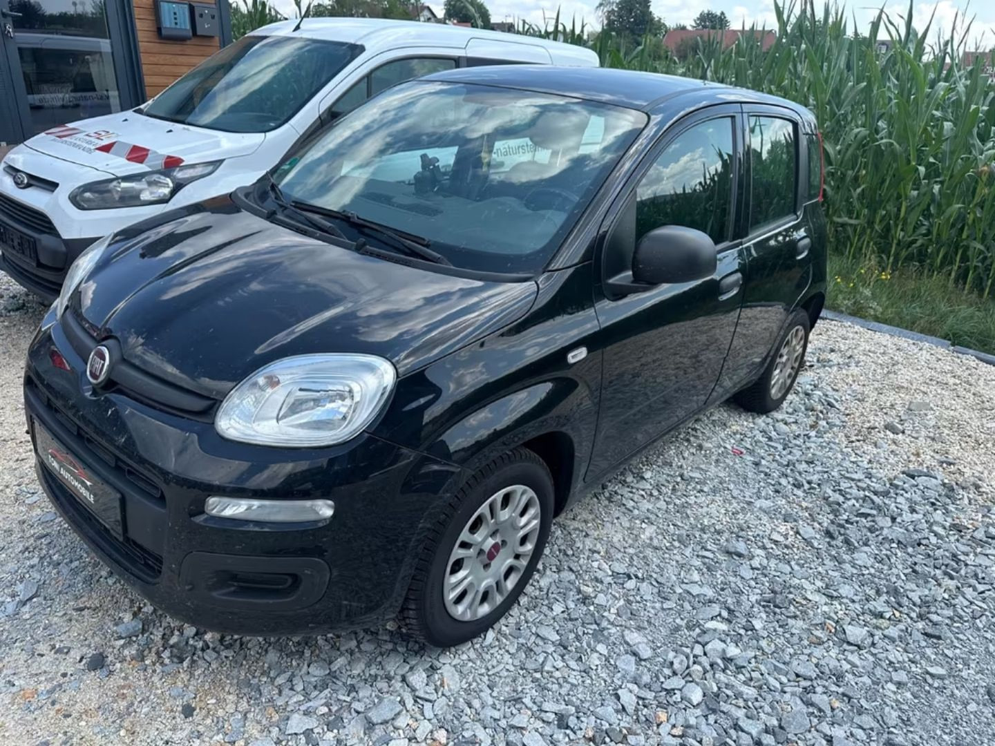 Fiat Panda — фото 7