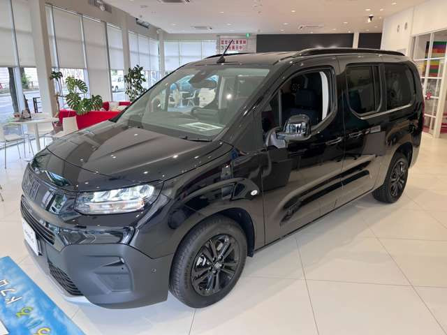 Fiat Doblo Maxi — фото 4