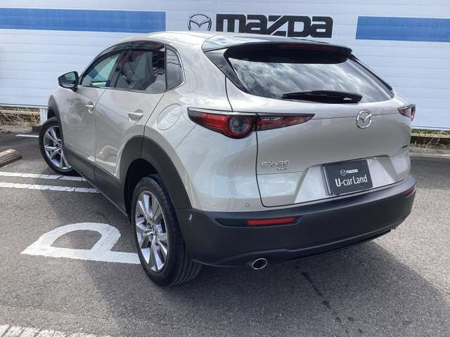 Mazda CX 30 — фото 8