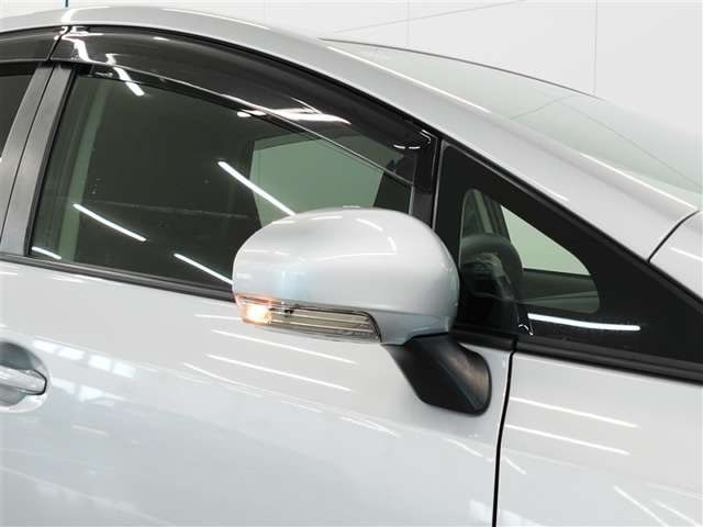 Toyota Prius Alpha — фото 10